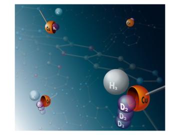 Molecules of the heavy hydrogen isotopes deuterium and tritium preferentially bind to copper atoms in a metal-organic framework compound. The metal atoms are therefore symbolically represented as shells in this image. Image credit: Thomas Häse, Leipzig U