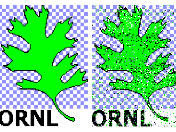 The team transmitted the ORNL logo, an oak leaf, between two end points in the laboratory with 87 percent calculated fidelity. (Left): The original 4-color, 3.4kB image. (Right): The image received using superdense coding. The team transmitted the ORNL logo, an oak leaf, between two end points in the laboratory with 87 percent calculated fidelity. (Left): The original 4-color, 3.4kB image. (Right): The image received using superdense coding.