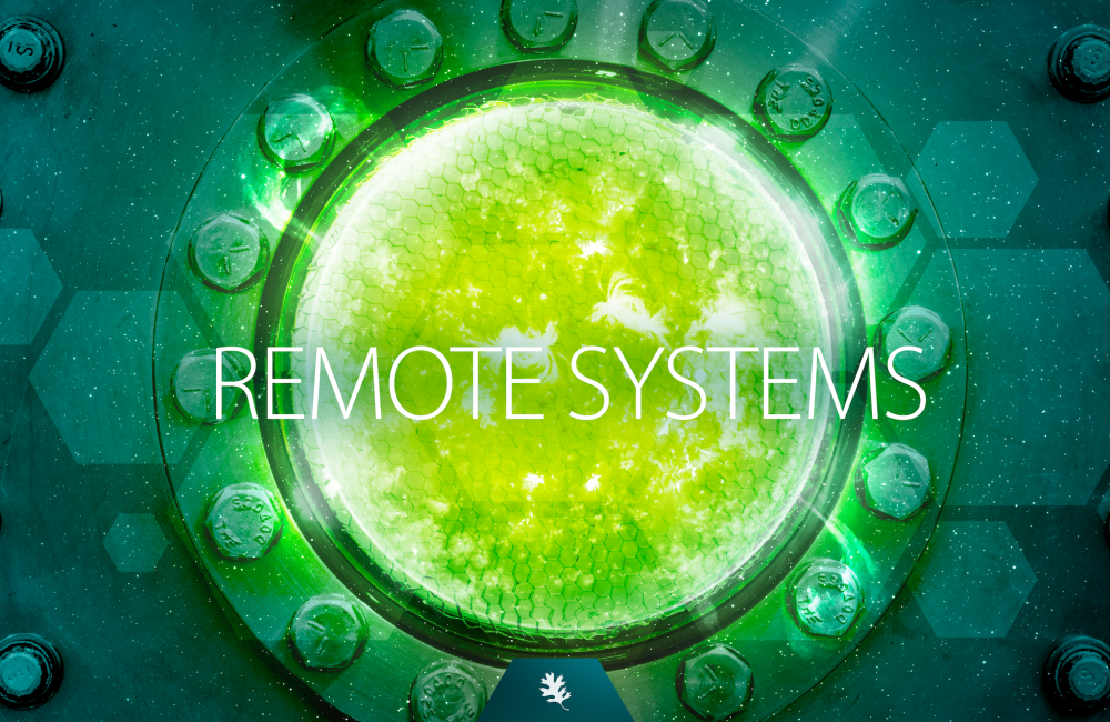 Remote systems