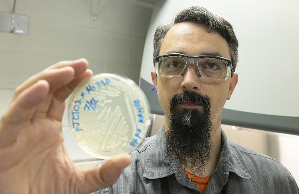 ORNL’s Adam Guss began adapting the SAGE gene editing tool to modify microbes in graduate school. Today, SAGE is rapidly accelerating the design of custom microbes for a variety of applications. Credit: Carlos Jones/ORNL, U.S. Dept. of Energy