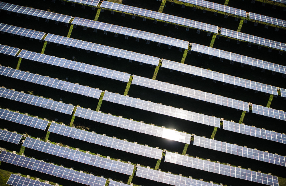 Solar panels in rows