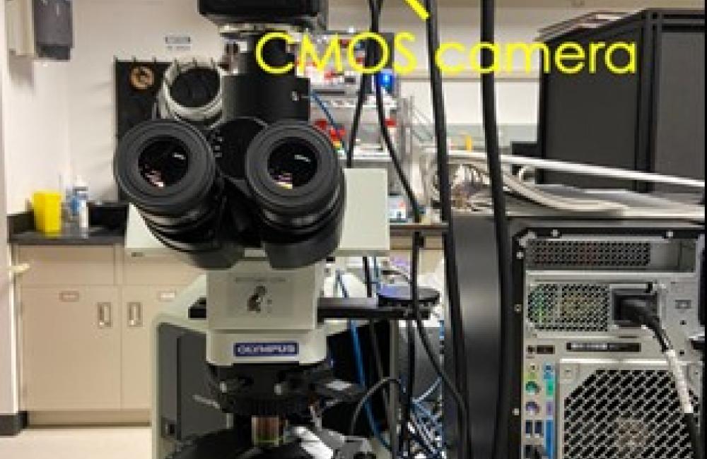 Optical Microscope Macro