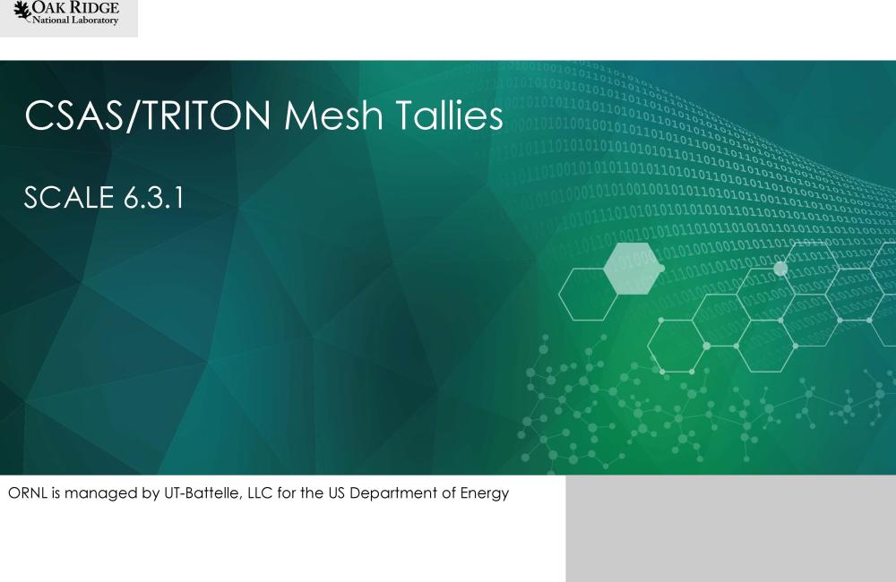 CSAS TRITON Mesh Tallies