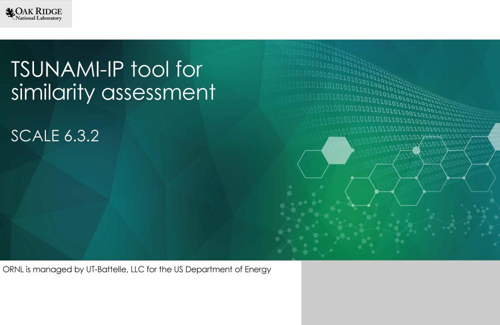 TSUNAMI-IP_tool_for_similarity_assessment