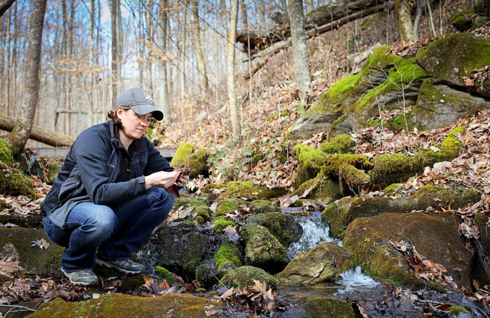 Natalie Griffiths kneeling in watershed at ORNL 