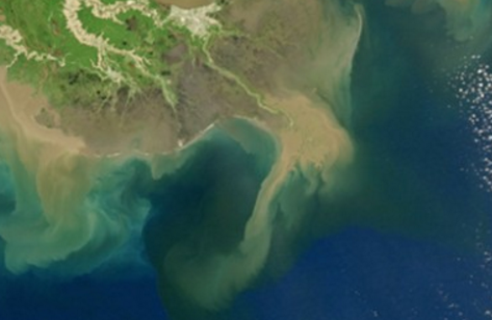 Northern Gulf of Mexico (image from NASA Aqua satellite)