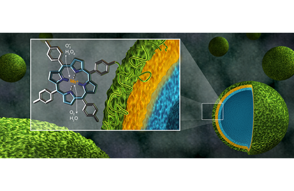 Shown as green spheres, microcapsules containing the polymer manganoporphyrin, a newly developed antioxidant (green), the natural antioxidant tannic acid (yellow), and a binding material (blue), can be analyzed for stability and efficiency with neutrons. 
