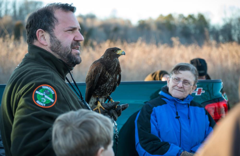 Vincent Pontello of the Tennessee Wildlife Resources Agency displays a Harris’s hawk during a 2015 nature walk. Photo by Nicholas Morris.