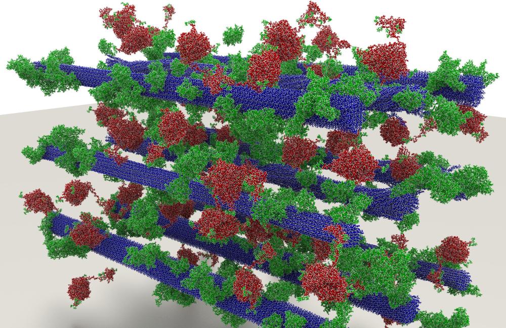 Researchers used experimental data to create a 23.7-million atom biomass model featuring cellulose (purple), lignin (brown), and enzymes (green). (Image credit: Mike Matheson, ORNL)