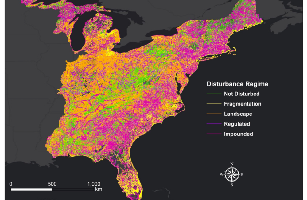 A stream classification system developed by ORNL researchers shows the influence of human activity on streams in the Eastern U.S. The map shows streams classified by their alteration status, highlighting the extent of networks that are impounded (magenta)