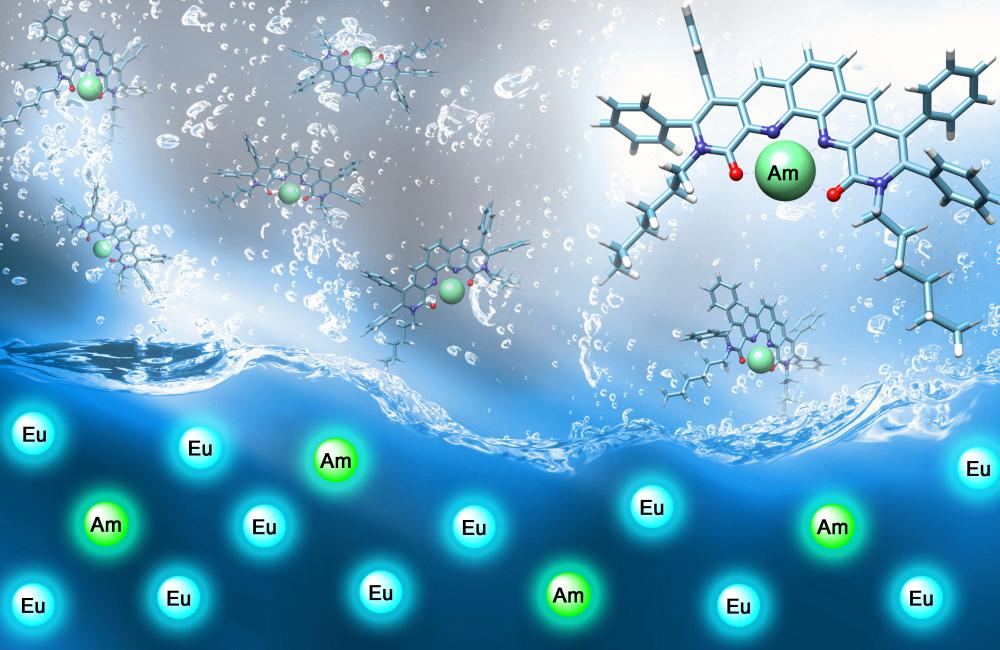 A tetradentate ligand selects americium (Am, depicted by green spheres) over europium (Eu, blue spheres). Red indicates oxygen atoms and purple, nitrogen atoms that are the key to the ligand’s selectivity. Image credit: Oak Ridge National Laboratory, U.S.