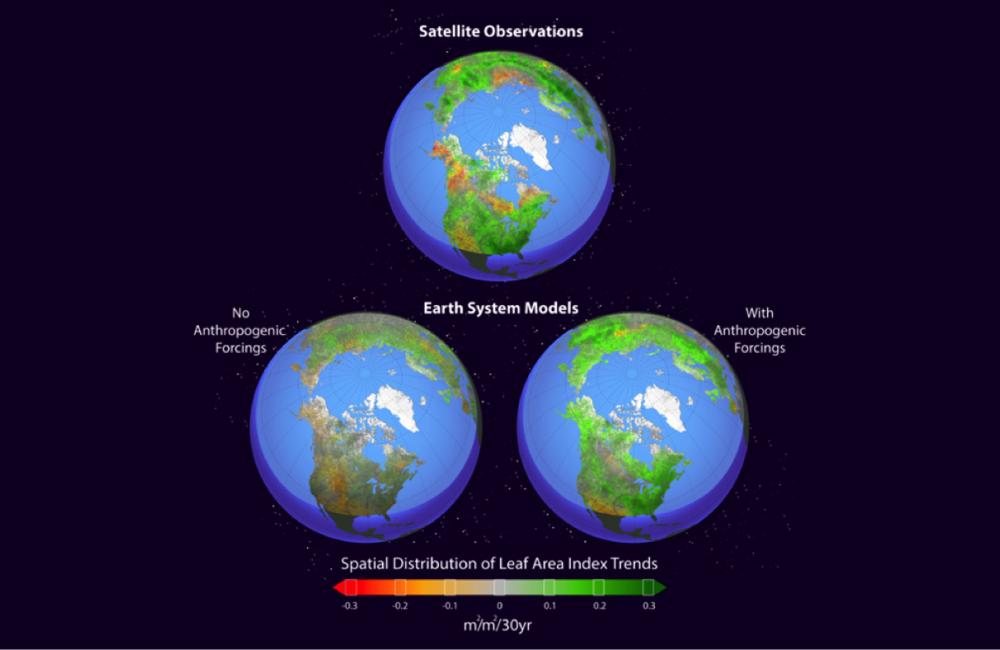 Earth system models simulate Northern Hemisphere greening. 