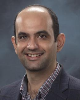 Dr. Anees Al Najjar